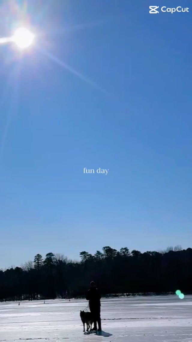 When it’s the first time in years the pond freezes over, you have to walk on it #dogsofinstagram #gsd #winterfun #ice #germanshepherd
