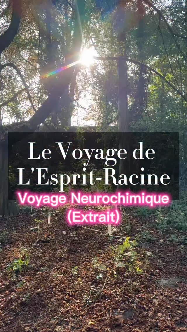 Extrait d’un voyage hypnotique mélant la voix et des fréquences binaurales (permettant au cerveau de changer d’état - avec un casque audio).
Ce « voyage de l’esprit-racine » dure une 20aine de minutes dans sa version complète et fait partie du pack ultime disponible sur mon site. Bonne écoute… #meditation #hypnose #binaural