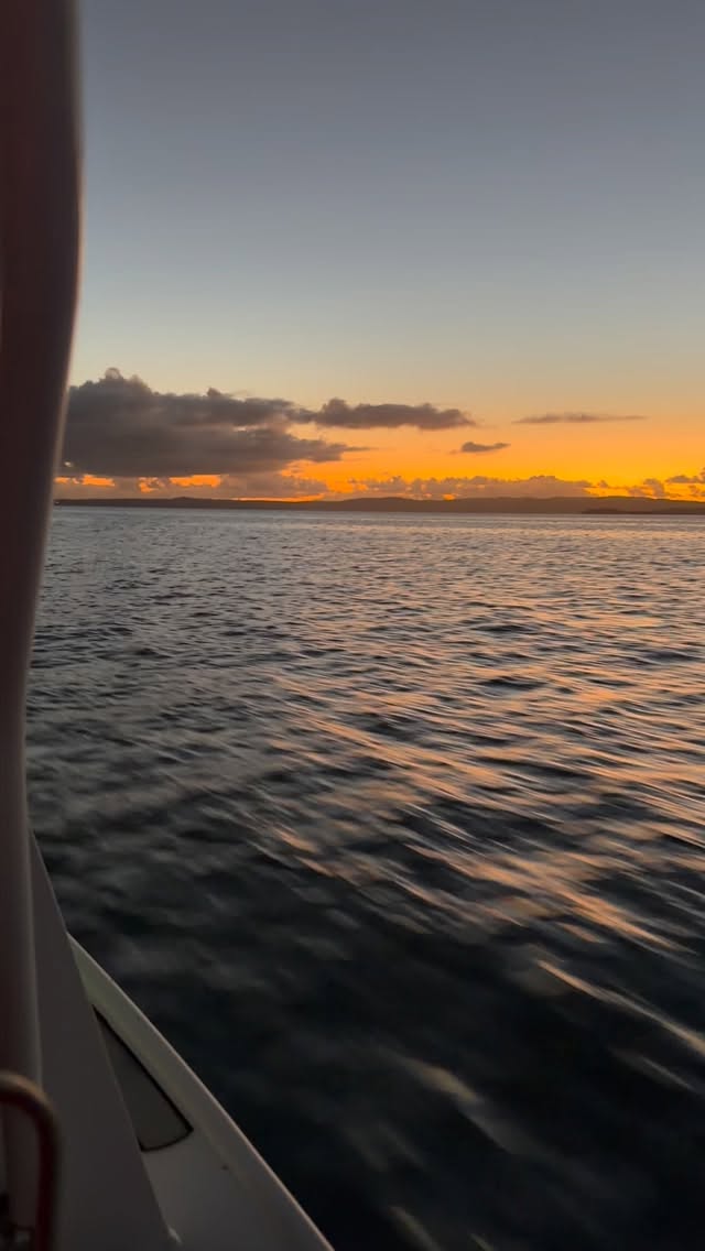 Happy Hump Day, conditions looking great. Tell the boss you need to go fishing today! 😉 #marinecareqld #99problems