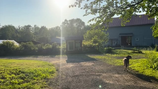 With love in the air today, we’re thinking of a summer day on the farm with the birds chirping as we take a walk to the discovery garden. Happy valentines day!