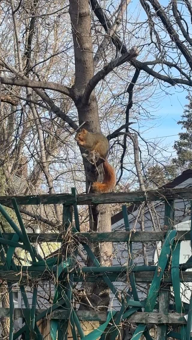 Tomorrow: meditate during Super Bowl here at OPE 5-7pm (this will be silent, show up and settle into meditation in a way that is comfortable to you and honors others in the space)