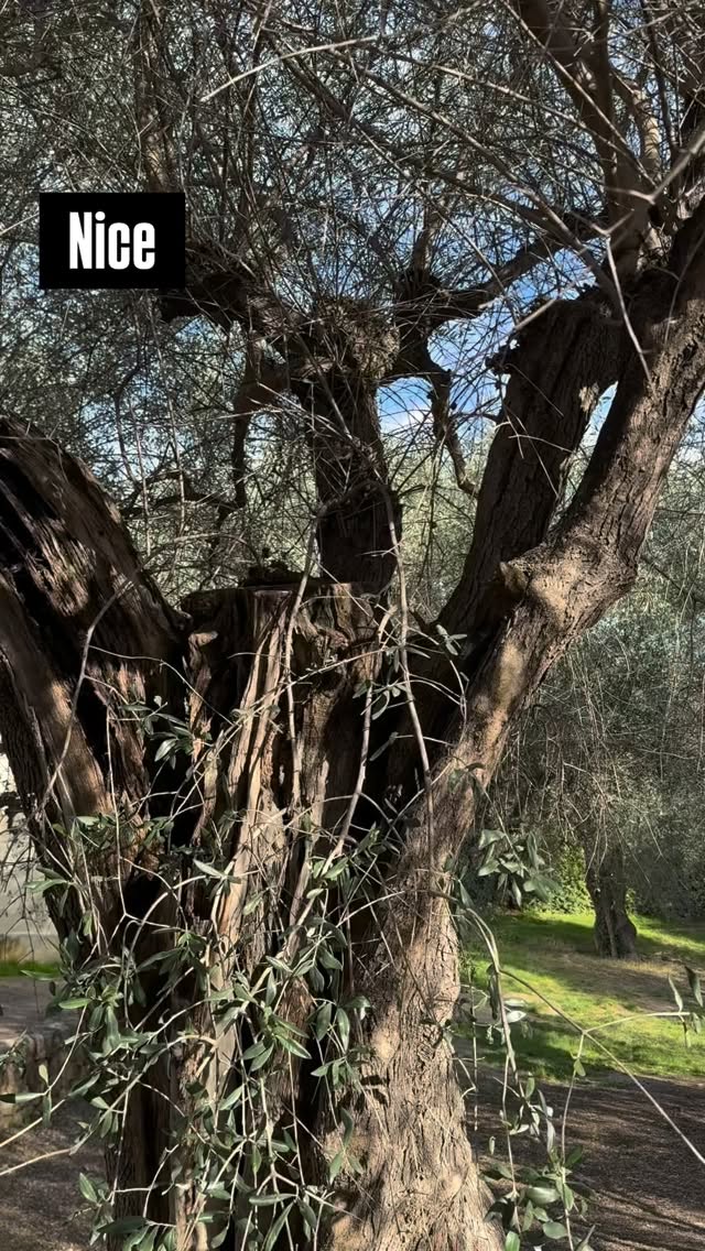 Et vous ?
Avez-vous une jolie boîte à livres près de chez vous ?
Envoyez-nous les images !