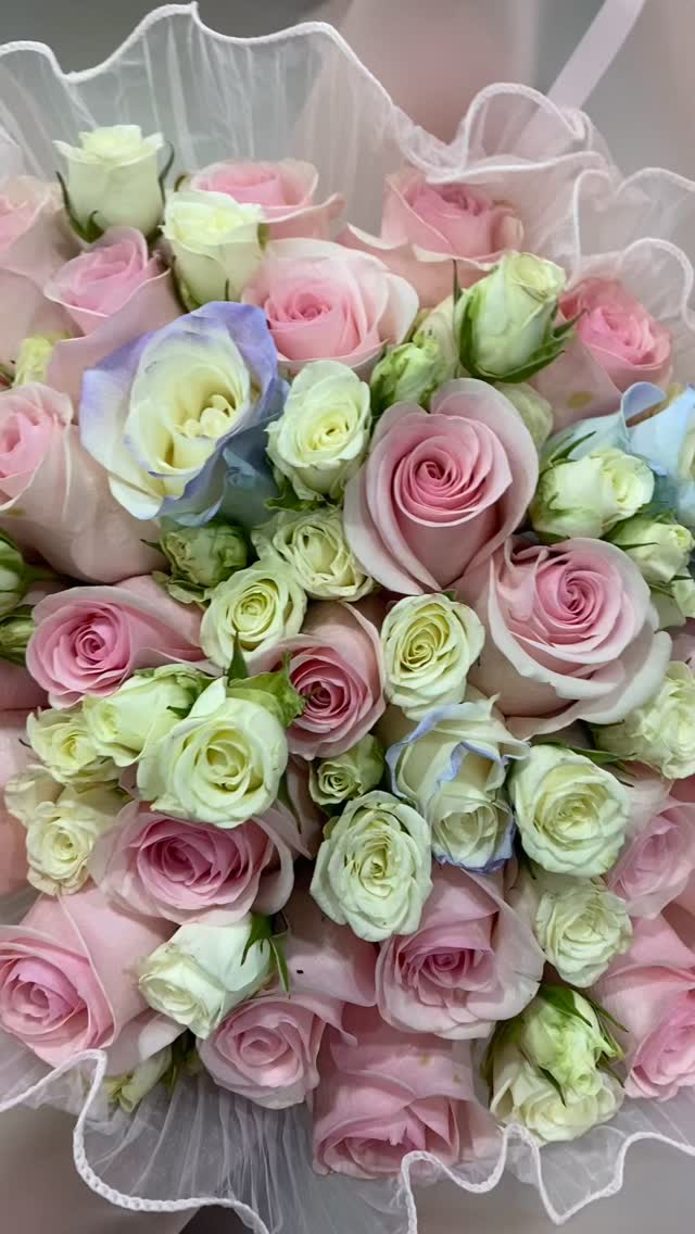 Valentine's season at Savii Stickers! โค๏ธ๐น
#saviistickers #stickershop #smallbusiness #stationerylover #valentinesday