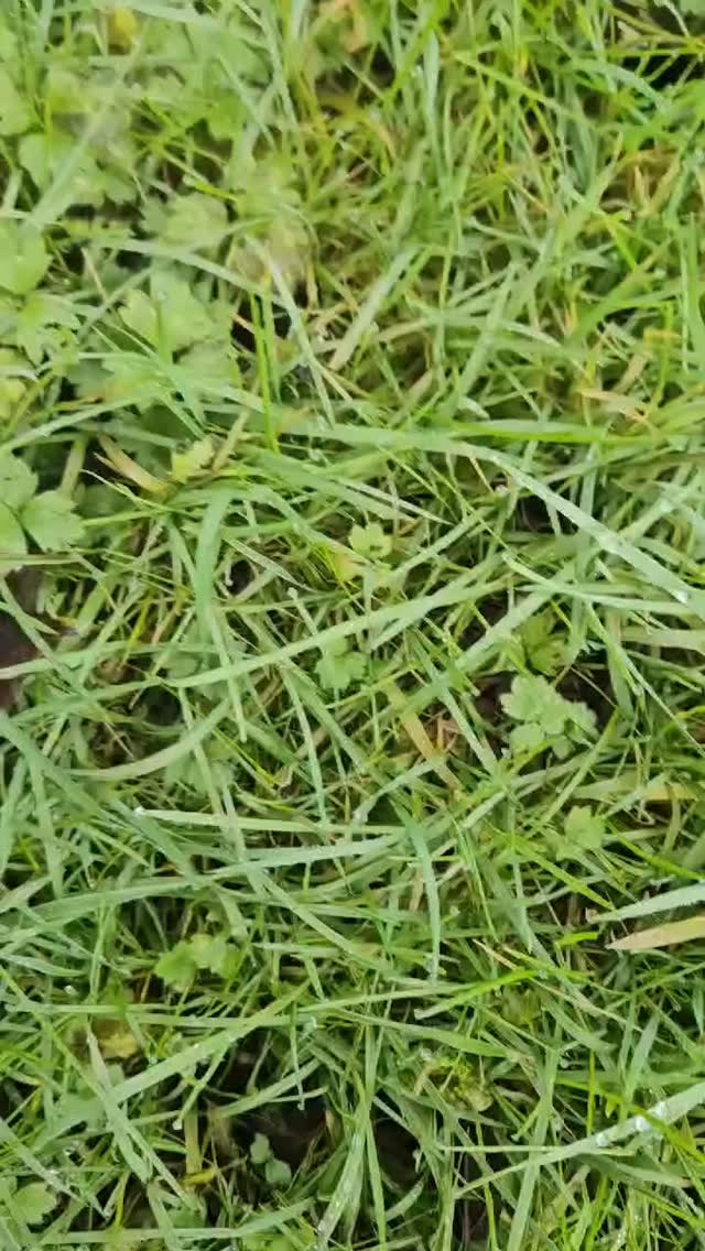 Foam prop build inspired by heavy sci-fi design.
Focused on shape, texture, and balance, built by hand in the workshop.
#foamprops #scifiprops #cosplaybuild #handmadecraft #workshopmade