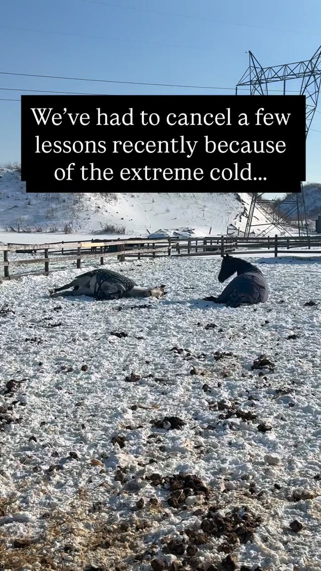 January and the beginning of February have been very cold! And with extreme temperatures comes lesson cancellations! At Belle Wood, any cancellations made by us due to weather are always given a make up lesson as the safety and comfort of our horses always comes first! 🥶🐴🩵
Horses are outdoor animals and can happily thrive outside in cold temperatures with access to 24/7 hay, water, shelter and friends close by. Making sure horses have access to hay is very important during these cold spells as horses eat more forage than usual to help thermoregulate their bodies.
So, while our horses are all warm and happy outside in their blankets and thick winter coats of hair, asking them to exercise in extreme cold can place strain on their respiratory system. Horses intake large amounts of air during exercise, and in extreme conditions this can cause irritations, inflammation and create long term health problems. Aside from respiratory health, extreme cold also affects joints and ligaments of our horses making riding a stressful process for their bodies during these weather conditions.
We keep a close eye on the weather apps and usually cancel at -15 c with a few exceptions (ie if the feels like is warmer than the temperature because of sunshine). ☀️☁️🌨️
We hope everyone is staying nice and warm and are looking forward to some milder temperatures this week. Clients please keep a close eye on your emails as Coach Mel is working hard to reschedule lessons!
.
.
.
#Equine #horsehealth #horsemanship #horsesofinstagram #horsefacts