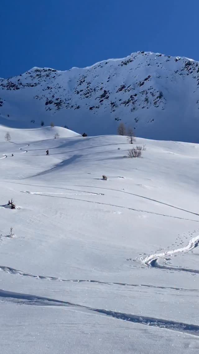 You always have to try to find cool things to do, because it will prevent you from going around in circles...
#snowboarding #snowboard #snow #board #powder
@henaff_off @fjordalp @chamonixmontblanc