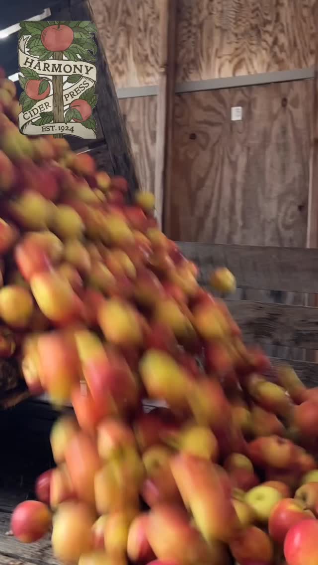 Ice Cider Week🧊🍎
Join us next week starting 2/23 for some fresh pressed, delicious ice cider! We will be pressing this weekend to have everything fresh and ready, but there is limited supply so don’t miss out!🍏
#apple #applecider #cold #local #smallbusiness