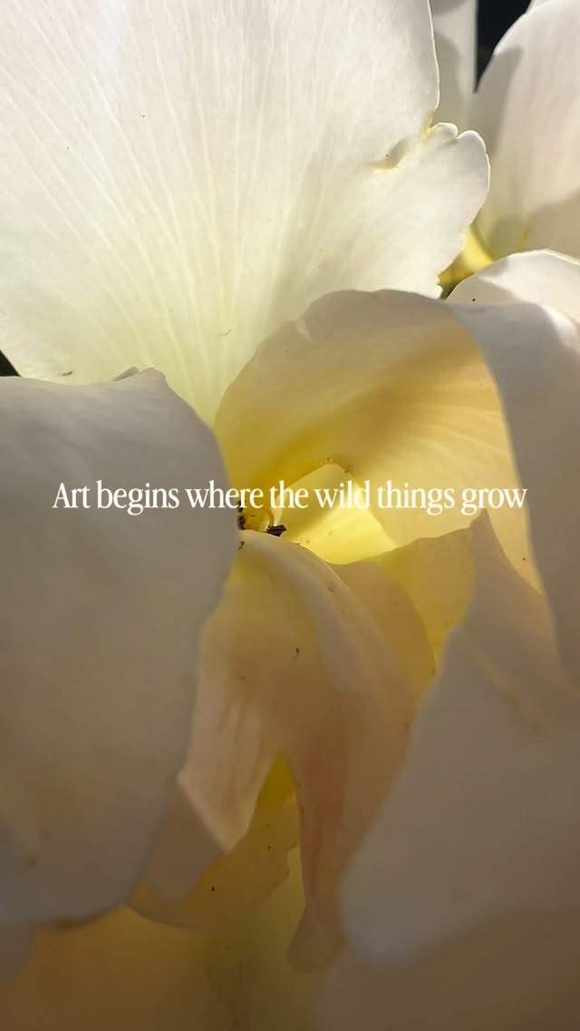 Where the wild things grow… In the magical nuances of nature, it’s subtle currents, the divine hum running through it.
That’s where it starts for me. Then keeping the energy moving once you’ve felt it. Showing up again and again. Resisting the inner critic, letting it be imperfect and letting it change.
Somewhere along the way, if you don’t grip too tight, the work starts to lead you instead of the other way around. That’s when it shifts and starts to feel alive.
✨✨✨
If you love soulful spaces and meaningful art, join my mailing list - you’ll love what I share there. Link in bio.
⠀⠀⠀⠀⠀⠀⠀⠀⠀⠀⠀⠀
⠀⠀⠀⠀⠀⠀⠀⠀⠀⠀⠀⠀
⠀⠀⠀⠀⠀⠀⠀⠀⠀⠀⠀⠀
⠀⠀⠀⠀⠀⠀⠀⠀⠀⠀⠀⠀
⠀⠀⠀⠀⠀⠀⠀⠀⠀
#abstractfloralart #luminousart #artcollectors #calmspaces #originalartforsale