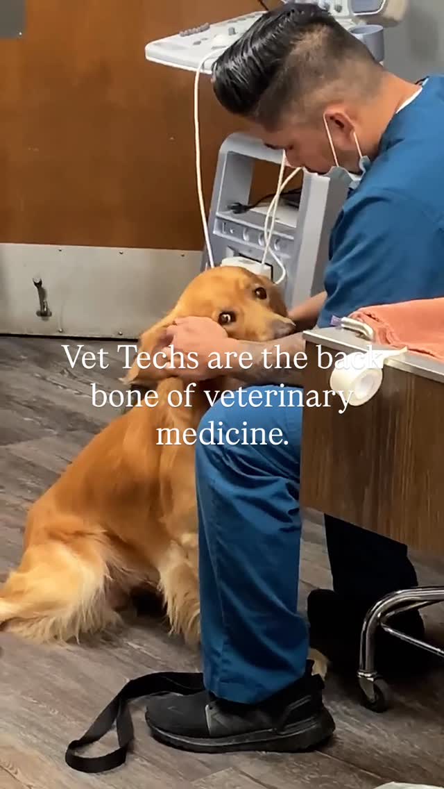 You are the backbone of veterinary medicine.
You are the under current of the clinic.
You are the first and last face clients and patients see.
You are half, if not more, of the experience for every owner and pet.
You carry the weight of running anesthesia, getting a history, checking TPR’s, showing up early, leaving late, drawing blood, putting in charges, calling follow ups, filling meds, cleaning rooms and OR’s … I could go on.
There’s the pressure and stress of veterinary medicine that rides on your shoulders just as much as the Doctors.
So, I’m here to say:
1. I see you.
2. Your mental wellness and fitness also deserves to be acknowledged and supported.
If you’re looking for a way to be equipped for your calling, I’m trying to build that and would love your input - because I know the hardship that DVMs go through is not solely impacting them. You are at the table too.
And I believe there’s a better way to thrive in our passion through an answer that is entirely in our control.
#veterinarymedicine #vettech #LVT #mindsetmatters