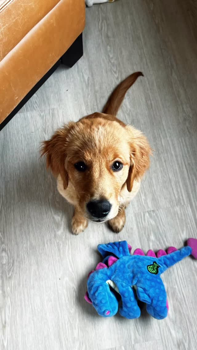 You are the backbone of veterinary medicine.
You are the under current of the clinic.
You are the first and last face clients and patients see.
You are half, if not more, of the experience for every owner and pet.
You carry the weight of running anesthesia, getting a history, checking TPR’s, showing up early, leaving late, drawing blood, putting in charges, calling follow ups, filling meds, cleaning rooms and OR’s … I could go on.
There’s the pressure and stress of veterinary medicine that rides on your shoulders just as much as the Doctors.
So, I’m here to say:
1. I see you.
2. Your mental wellness and fitness also deserves to be acknowledged and supported.
If you’re looking for a way to be equipped for your calling, I’m trying to build that and would love your input - because I know the hardship that DVMs go through is not solely impacting them. You are at the table too.
And I believe there’s a better way to thrive in our passion through an answer that is entirely in our control.
#veterinarymedicine #LVT #vettech #vetassistant #mindsetmatters