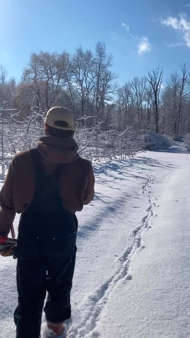 February so far… ❄️
Just because there’s snow doesn’t mean the work stops.
#HickoryHillOrchard #ConnecticutOrchard #CheshireCT #CTFarms #NewEnglandFarm