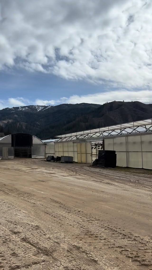 Welcome to a typical day at Ward’s. Early spring edition.