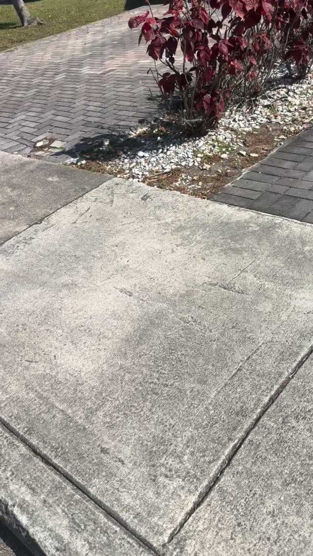 #pressurewashing #roofcleaning #softwashing #tnacleans #pressurecleaning call today for a free estimate 3053189961 www.tnacleans.com