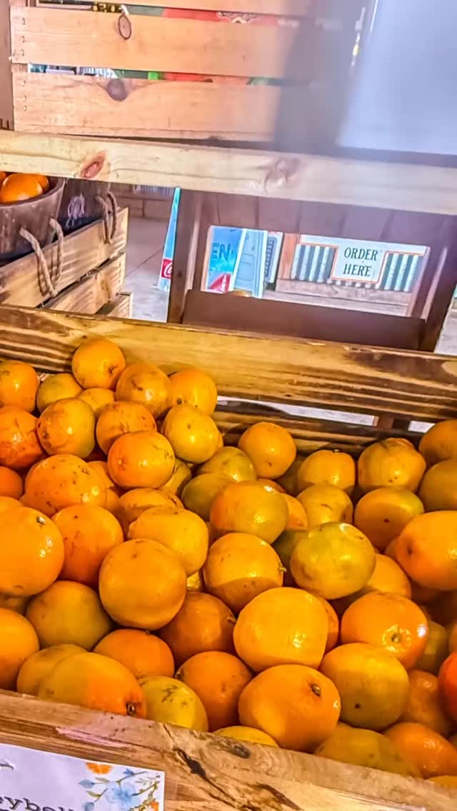 @nafdma_assoc convention - 2026 farm tour recap 🍊🐊🍓🫐🍑
@theshowcaseofcitrus @gatorland_orlando
@southernhillfarms