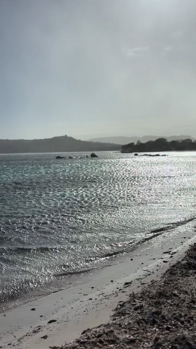 Comment allez vous mes starlettes ?
J ai pensé à vous, pour vous partagez, un peu d’ oxygène, de mer, d’ eau bleu, de vent, de vagues et de soleil
Un merveilleux cocktail qui je l’ espère vous fera rêver en attendant vos vacances de printemps ou d été 🏝️☀️🌈😘
#corsedusud #mer #soleil #vent #vague