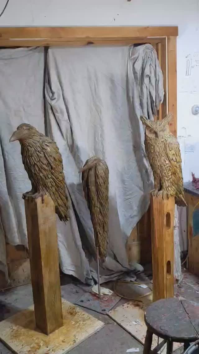 Raven, Hunkered Heron, Common Horned Owl all ready for the mold maker and then into bronze.
#digbyveeverscarter #somersetsculptureandfoundry #foundrylife #bronzesculpture #maineart