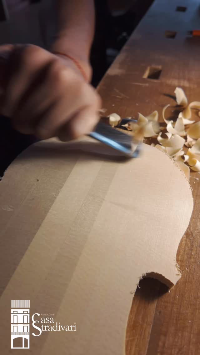 Le note del legno ✨
#CasaStradivari #Cremona #Liuteria #ViolinMaking Lutherie