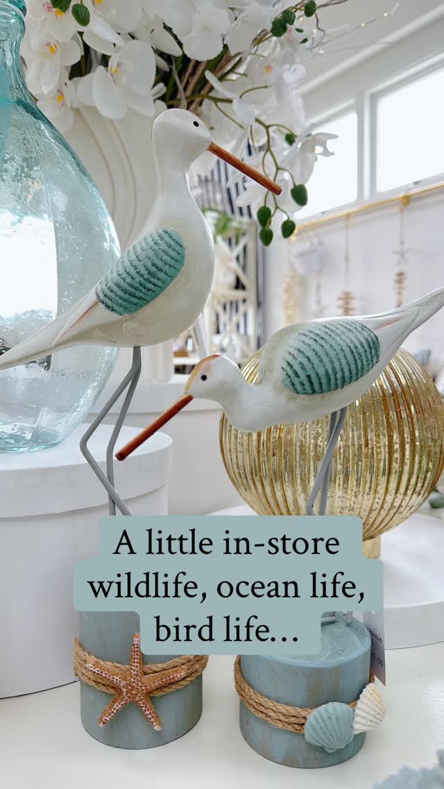Pop in and meet the wildlife, birdlife and ocean life… and me 😉 From cheeky monkeys to coastal seagulls and sweet little bees, there’s a touch of wild tucked into every corner. Beautiful pieces to bring personality, charm and a little fun into your home, all waiting to be discovered.
#white_sands_interiors
#homedecor
#longbayauckland
#torbaybusiness
#aucklanddecor