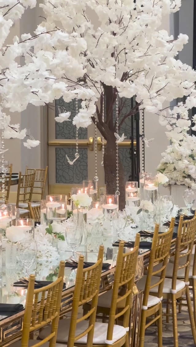 Save your date at The Pearl Event Centre! Book your dream event now!✨
Step into a world of sophistication with our breathtaking venue, featuring magnificent chandeliers and luxurious interiors. Every corner of The Pearl Event Centre exudes elegance, ensuring your special day is nothing short of spectacular. Celebrate in style and make unforgettable memories with us!
Turn your vision into reality at The Pearl Event Centre! 💍✨
📍 951 Tristar Dr, Webster, TX 77598
📞 (281) 815-0923
📧 info@thepearleventcenter.com
.
.
.
.
.
.
#PearlEventCentre #WeddingVenue #LuxuryEvents #WebsterTX #ElegantWeddings