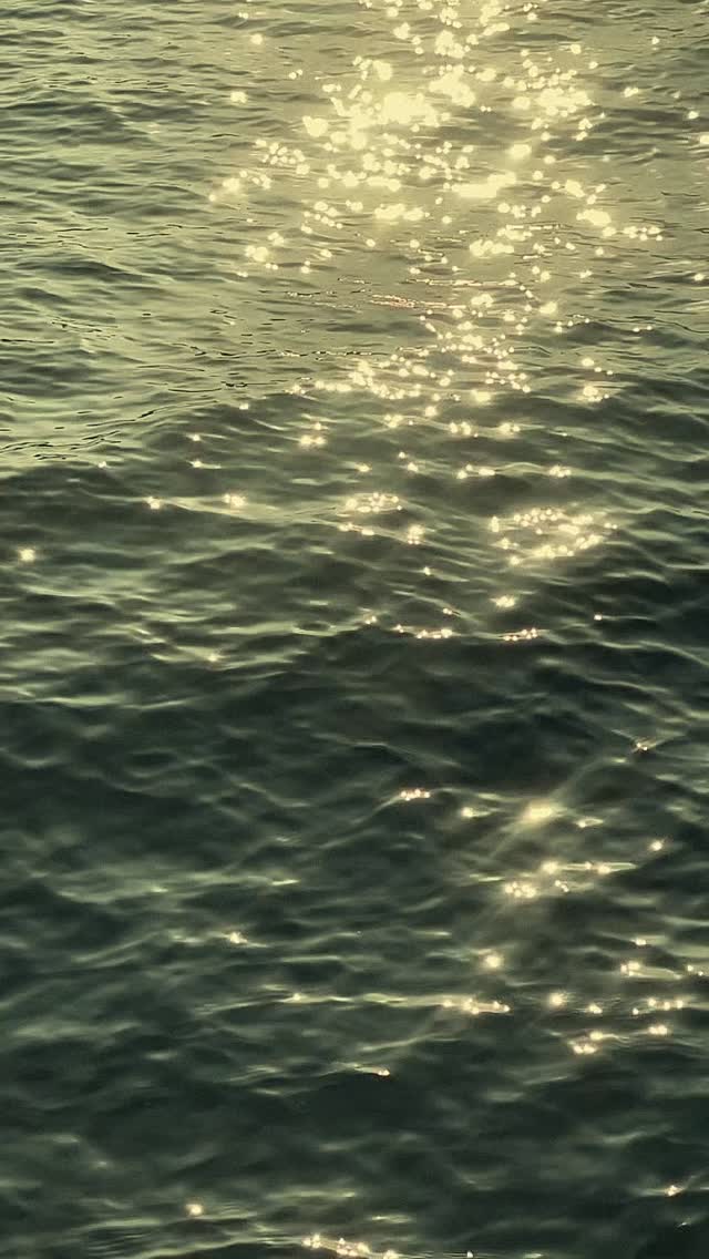 Top reason why to your photos here in #cozumel 🤍🖤