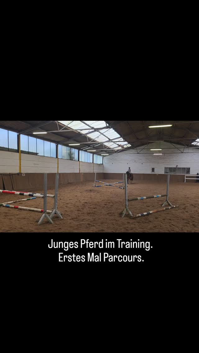 Erstes Mal Parcours im Training.
Jung, talentiert, Schritt für Schritt. 🐎
