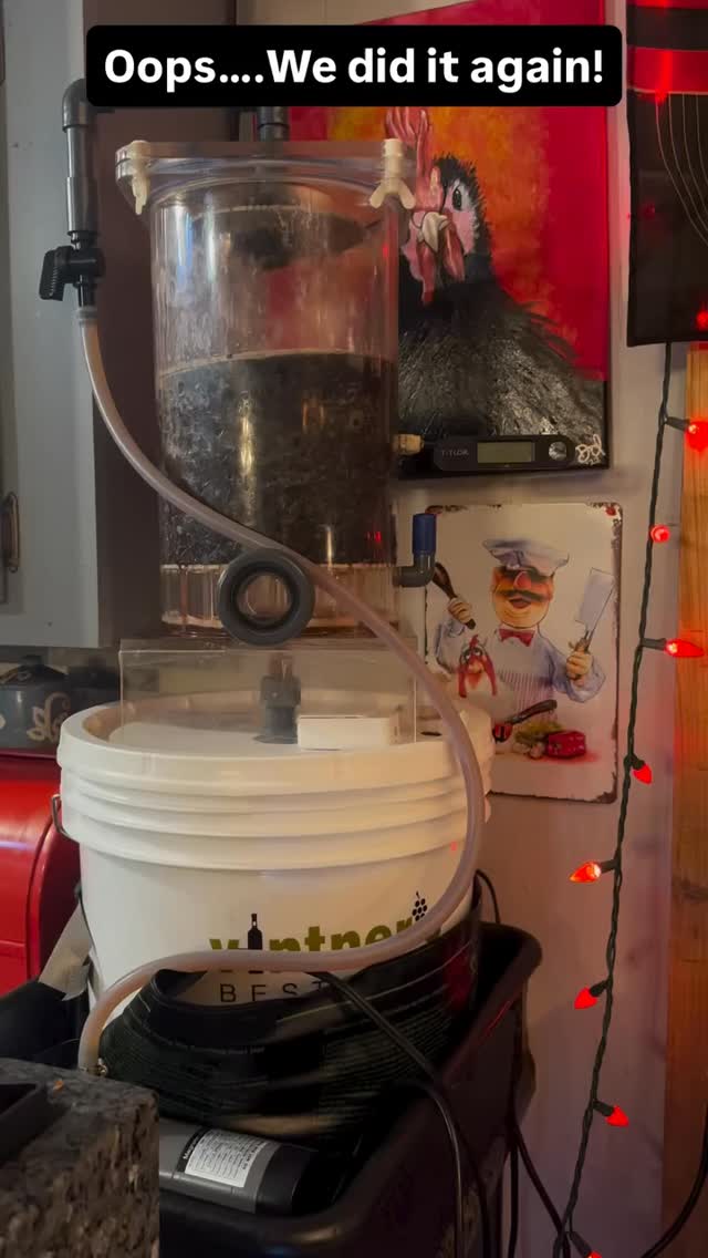 Now running in stereo. 💃🫙
Still small batch. Just more production (and messing around with experimentation.)
Stay tuned…there is more to come in the coming weeks!
#Thetickledpickler #LiveVinegar
#CraftVinegar
#Fermentation
#MotherOfVinegar