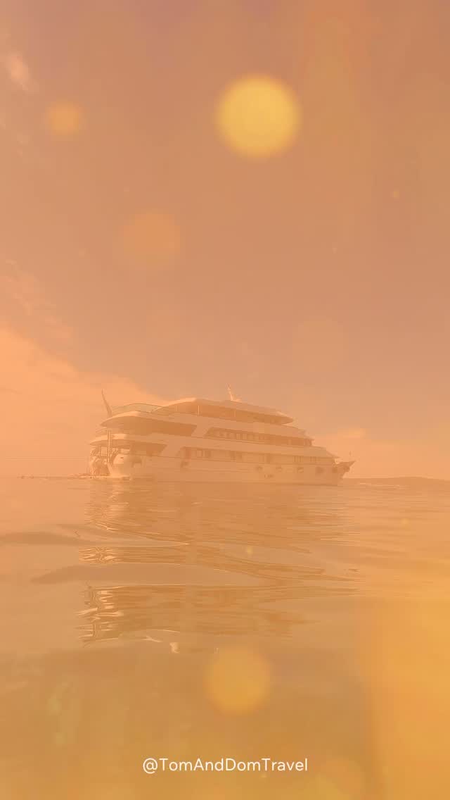 Think cruising is all about mega ships? Think again…
Ad• What if you could elevate your cruise experience… with just a handful of guests, swim stops in the bluest waters, and ports the big ships simply can’t reach?
We experienced yacht cruising with Riviera Travel in Croatia and it completely changed how we see cruising. 🇭🇷
Picture this:
💙 Crystal-clear Adriatic swim stops straight from the yacht
🍷 Incredible local food and wine
🏛️ Excursions to truly immerse yourself in Croatian culture
🌅 Intimate, relaxed, without the crowds
If you love cruising but have never considered a yacht cruise… this might be your next level.
Would you swap a mega ship for a yacht? 👇
#TomAndDomTravel #YachtCruise #RivieraTravel #CroatiaCruise