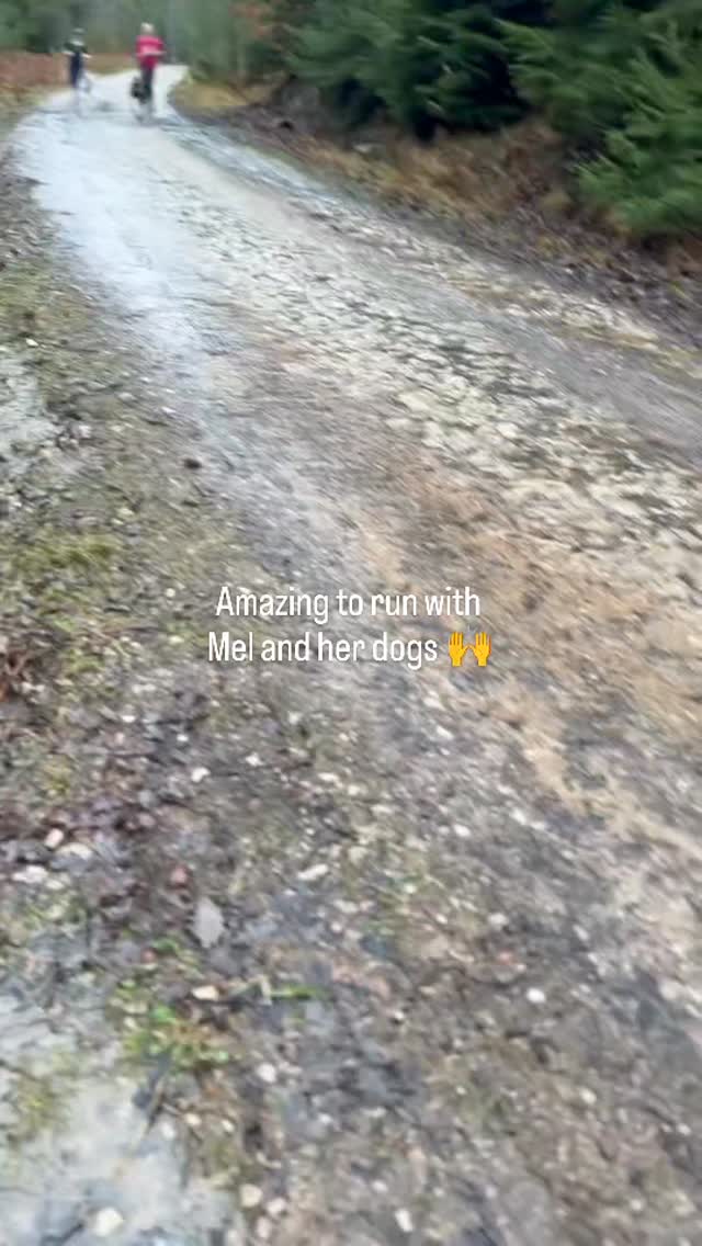 Part 2 (video) of our run at Bark Run, Forrest of Dean. I mentioned about running with a lady and her spectacular dogs! Thank you @thepollystubbs you captured it. So lovely to see happy dogs enjoying running together. Great to run with you Mel 🙌🐾❤️#barkrun #englishpointer #5krun #nonstopdogwear #wiggleandwag