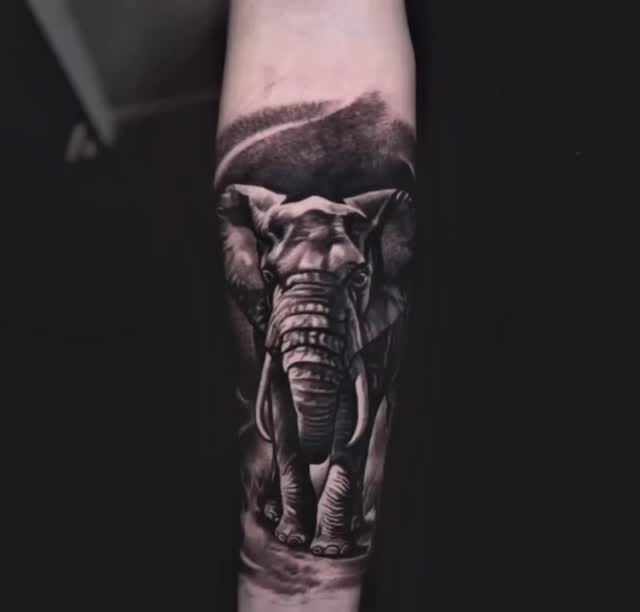 🔥Verfügbare Termine bei Sile Anfang Juni – begrenzte Plätze.
#tattoo #tattoos #tattooartist #tattoolife #blackandgreytattoo