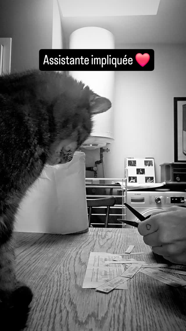 Contrôle qualité validé ❤️
Merci Paillette 🐈