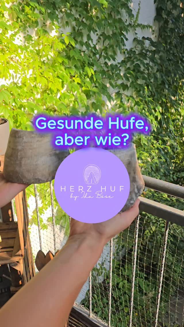 Gesunde Hufe bleiben nicht zufällig gesund.
- artgerechte Fütterung
- regelmäßige, fachliche Hufbearbeitung
- viel Bewegung
- passende Haltung
Hufgesundheit beginnt im Alltag 🐎💚
Deine Ida von Herz Huf 💜
#hufgesundheit #pferdehaltung #pferdewissen