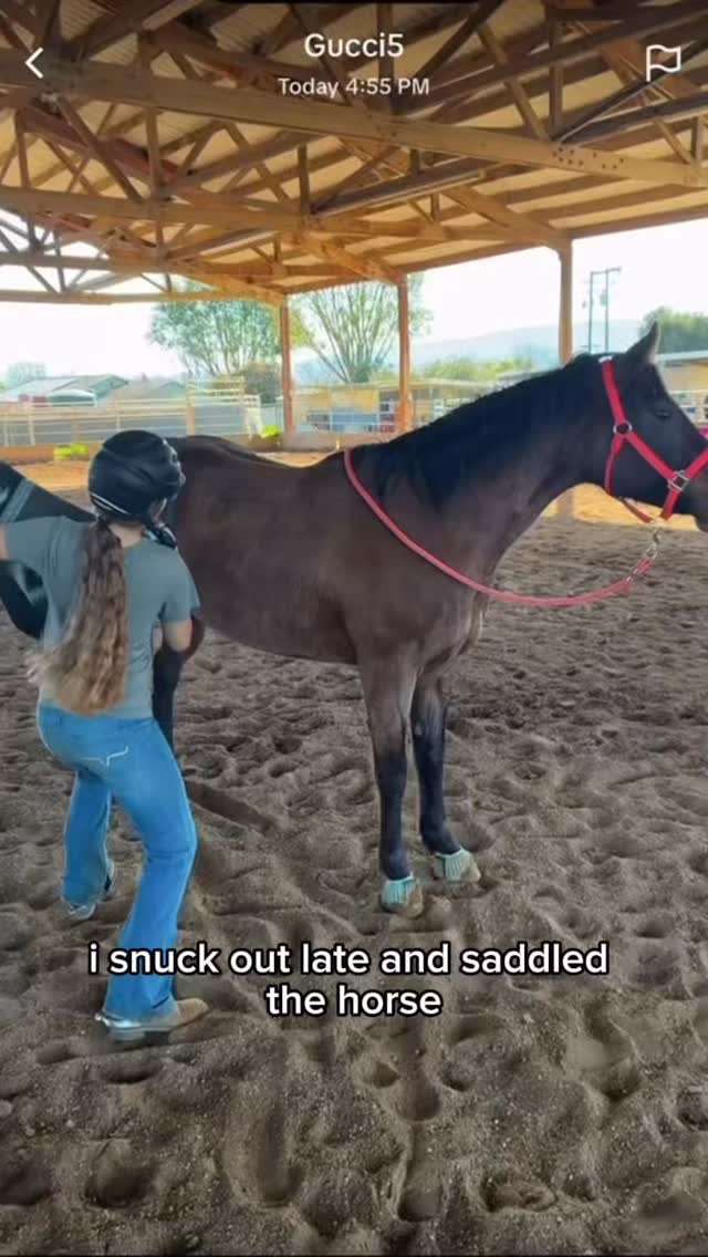 Just some silly students at the ranch 😆 but the real star is Judy! 🤪