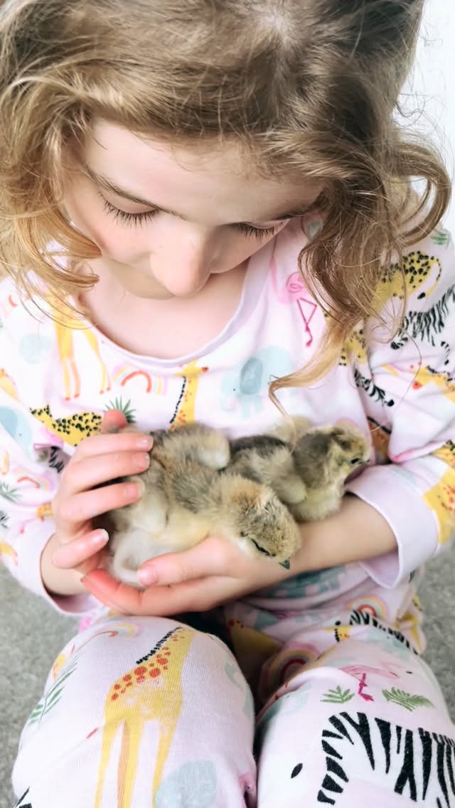 Love lives here.
In quiet barns.
In tiny arms wrapped around tiny animals
In laughter carried on cold mornings
#valentinesday #loveislove #familylove
#childhood #love