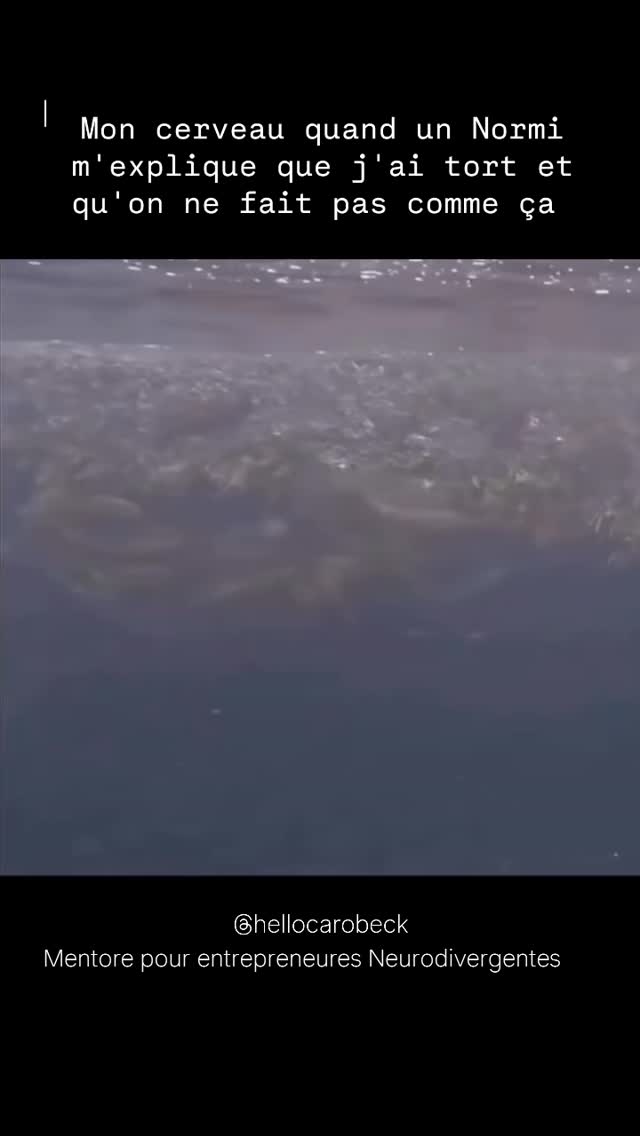 À une époque pas si lointaine, j'essayais, à m'épuiser de les convaincre... Aujourd'hui 🤟
Pour ceux qui me découvrent, les Normi, c'est le nom que j'ai donné aux gens "normaux" avec un cerveau linéaire, ceux qui sont comme tout le monde, qui rentrent dans les cases. Un clin d'œil à Mercredi Adams 😅