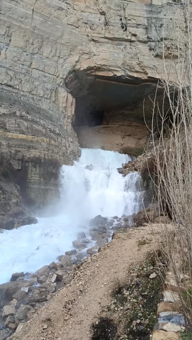 Listen to the roar.
Feel the power. 🌊
Afqa Waterfall in its wildest form — pure Lebanese nature at full force. 🇱🇧
Discover Lebanon with us.
#AfqaWaterfall #LebanonNature #DiscoverLebanonTours #MountLebanon #LebanonTravel