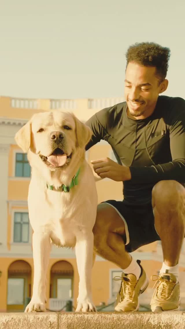 Karneval & Hund – passt das zusammen? 🎭🐶
Bunte Kostüme, laute Musik, volle Straßen – was für uns jeck ist, kann für unsere Hunde purer Stress sein.
Karneval bedeutet:
🔊 Lärm & Böller
👥 Menschenmengen
🎊 ungewohnte Gerüche & Reize
🍫 Essen auf dem Boden (Achtung: Schokolade & Alkohol!)
Nicht jeder Hund ist für dieses Ausnahme-Level gemacht – und das ist völlig okay.
Unsere Empfehlung:
✔️ Spaziergänge in ruhigeren Zeiten
✔️ Rückzugsort zu Hause schaffen
✔️ Keine Kostüme, wenn euer Hund sie nicht liebt
✔️ Safety first – Leine dran & aufmerksam bleiben
Karneval ist laut. Liebe ist leise. 🐾
Lasst uns auch in der fünften Jahreszeit verantwortungsvoll bleiben.
Wie erlebt euer Hund die jecken Tage?
#DogRebels #Hundeliebe #KarnevalMitHund