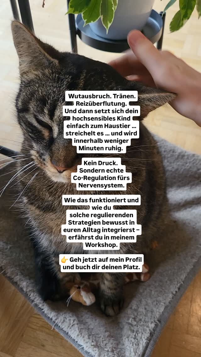 Wutausbrüche von hochsensiblen Kindern können extrem sein. Meist ist die Ursache Reizüberflutung und ein Signal für "mir ist gerade alles zu viel".
Deshalb geht es in meinen Workshops und Coachings auch oft um Regulation und Co-Regulation, wie das funktioniert und wie du sie am besten im Alltag integrierst.
Du bekommst in meinem Workshop "Mein Kind ist hochsensibel" neben viel Wissen zum Thema Hochsensiblitität bei Kindern also auch viele Strategien und Tools, die euch den Alltag als Familie erleichtern können.
➡️geh auf mein Profil, klicke auf den Link und dann auf Workshops und melde dich noch heute an!
Herzlich, Jacky 🦋
#hochsensibilität #hochsensibel #hochsensiblekinder #sensibel #neurodivergent
COACHING
BERATUNG
HOCHSENSIBILITÄT
EMOTIONSREGULATION
STRESSREGULATION
ABGRENZUNG
POTENTIAL
SELBSTVERTRAUEN
MINDSET