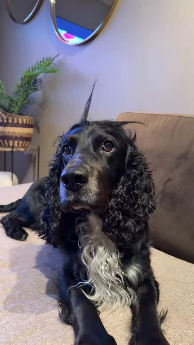 En liten Valentines Edition ❤️