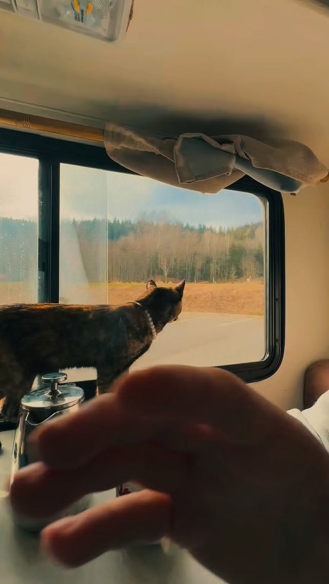 Olympic national parkta Paloma ile birinci gunumuz. Lake crescent, Madison Falls Trailhead ve forks ziyaret ettik.
#alitodayactivity hashtagi ile bu tarz videolar paylaştıcam bakalim bu ne kadar gidicek.
#todayactivities #olympicnationpark #lakecrescent #washington