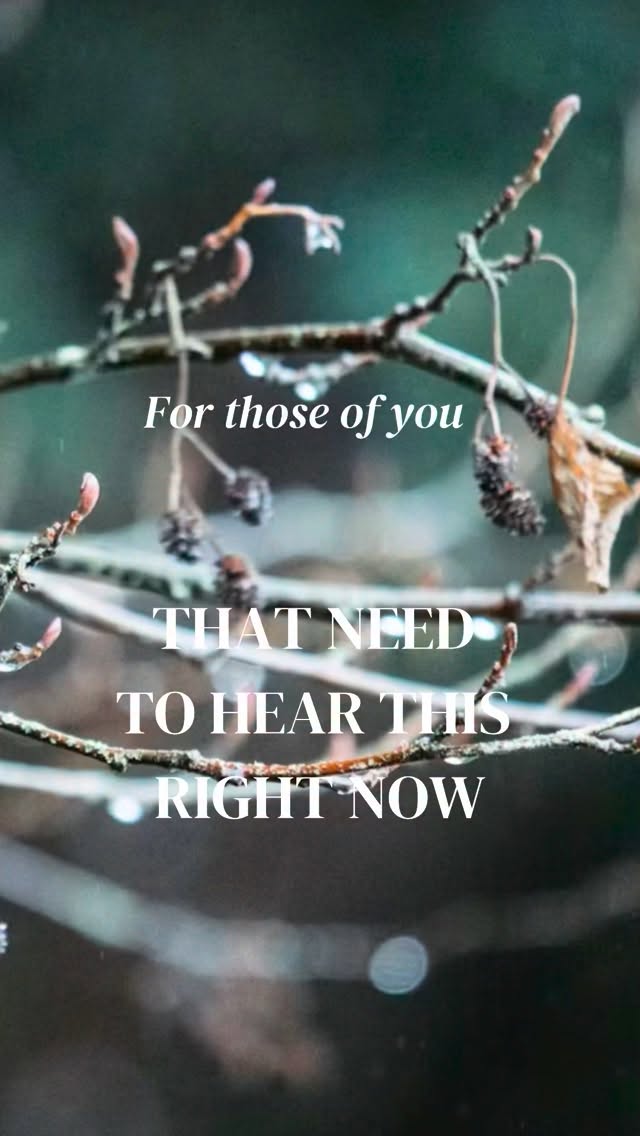 Just when we thought January was bad weather, along comes February.
On my walk yesterday I was thinking in my walk about what each part of it looked like in the summer.
The mud replaced by cow parsley lined verges, the twigs replaced by heavenly blooms, the grey replaced by a riot of colour.
I don’t think we’d get as excited by the sun in the UK if it wasn’t like this beforehand. It makes us appreciate the beauty more than ever .
Here’s a reel I put together of the ‘before and afters’ in my garden and the countryside surrounding us.
If the weather’s getting you down. Hold tight…..remember what’s coming, and it will magic
Sus xx