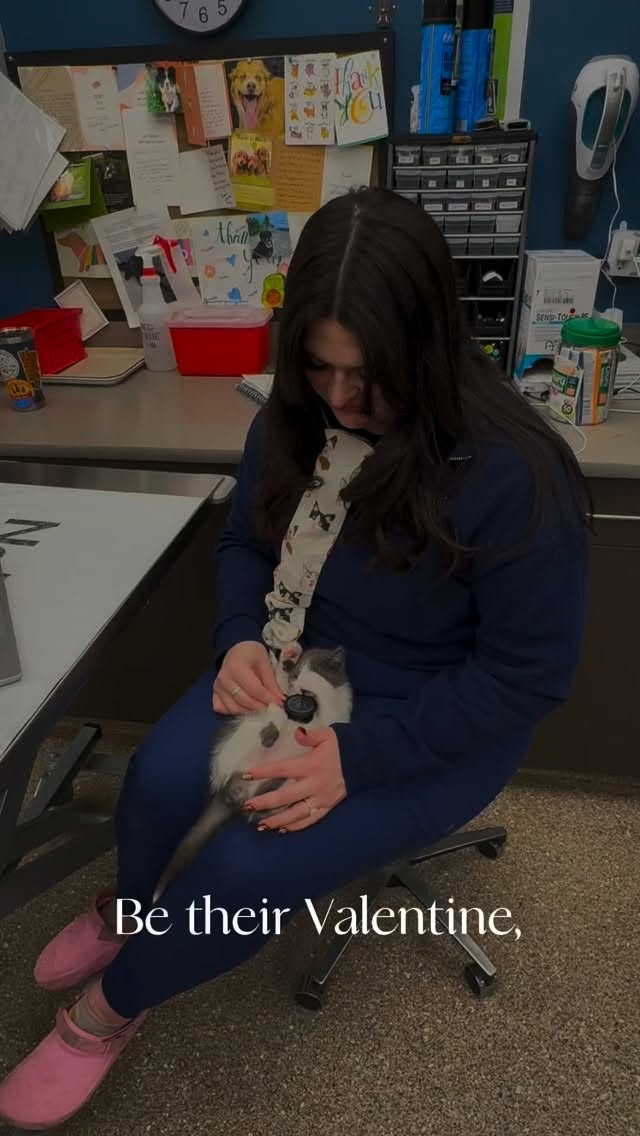 Where compassion becomes consistent.
❤️
Link below and in bio to become a Mission Sustainer. ⤵️
https://donate.missionah.org/a/sustainer
#donate #missionanimalhospital