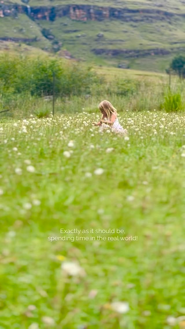 This is exactly as it should be 🌿
No screens.
No notifications.
No rushing.
Just playing in flowers, curious minds, and kids discovering the wild the way it was meant to be — freely, fearlessly, and fully present.
At Giants Cup Wilderness Reserve, childhood looks a little different… and a lot better.
Fresh air over WiFi.
Birdsong over ringtones.
Adventure over algorithms.
Let them wander. Let them explore. Let them be wild. 🌸✨
#wildandfree #wildernesschildhood #naturekids #drakensberg #unplugged