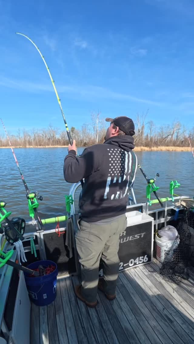 Trophy catfish wrapped around some wood pilings #fishing #catfish #riverfishing