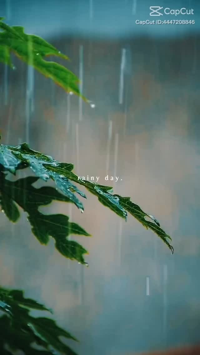 ☔️ La pluie et la crue auront finalement eu raison du village d’hiver de la ville de Saintes 😢
Vous retrouvez bientôt l’Atelier Bucolique sur de nouveaux événements et d’ici là sur le site internet de l’Atelier (lien en bio) où vous retrouverez tous mes accessoires poétiques (sacs, pochettes, bananes, bourses, trousses…), aux détails précieux et aux finitions très soignées, dans des tissus romantiques, raffinés et délicats.
Charlotte
🌿 L’Atelier Bucolique