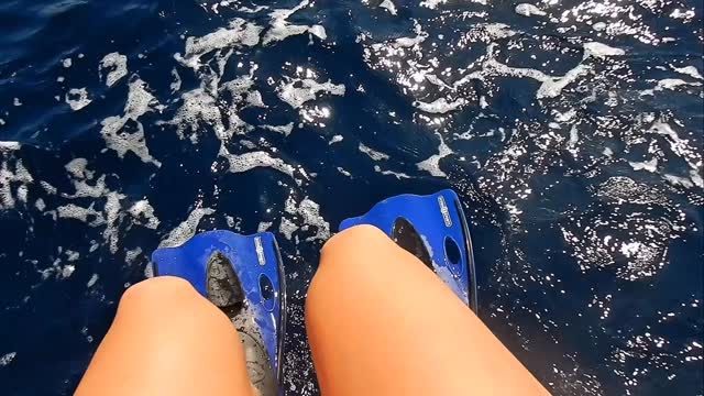 The beauty of swimming alongside the largest fish in the ocean. 🌊
It was both unbelievable and incredibly humbling to slide into the water and share space with such an iconic species that I idolized growing up.
Each whale shark has a unique spot pattern like a fingerprint, which researchers use to identify and track individuals over time. Citizen scientists can contribute to this research by submitting photos to Sharkbook.AI during a responsibly chosen whale shark tour, helping scientists monitor movements and better protect these gentle giants. It’s a perfect way to get involved if you choose to venture out to sea with @chooj.a and @katieadamsonconservationfund 🦈💙
#Whaleshark #conservation #islamujeres #sharkconservation #swimmingwithwhalesharks