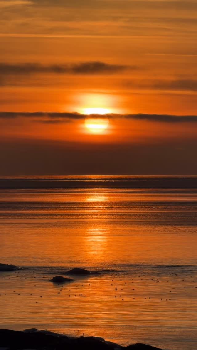 Solen går ner över isen. Fåglarna samlas i de områden som fortfarande har öppet vatten. Alltså vilken kväll. Ljudet! Ljuset! Stillheten! 💙#världensvackrasteskärgård #käringön #isvinter #bohuslän #älskaöa