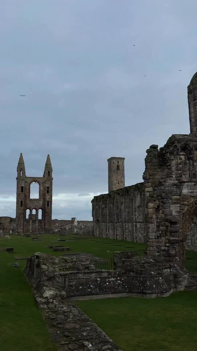 Valentine’s Day is tomorrow! 🗣️
Still need a gift? St Andrews has so many fantastic businesses here to help 💕
@crystalshopstandrews
@oliverbonas
@mitchellsdeli
@ostara_life
@embracelifesta
@bonkersshop
@jewel_standrews
@hotelchocolat