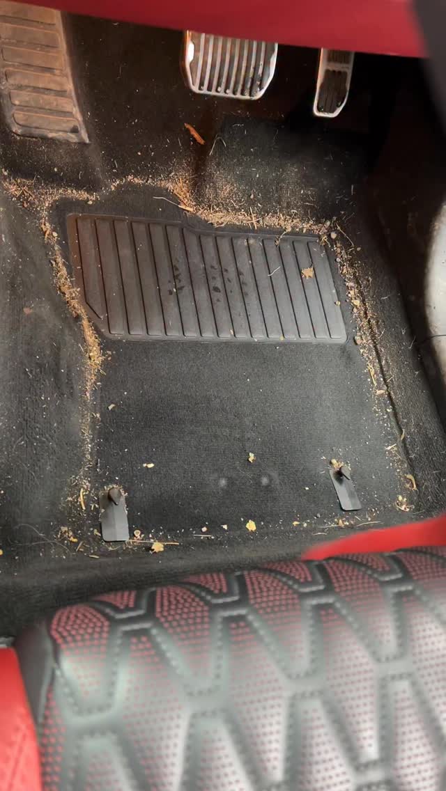 Ever used a tool like this before?
Tornador with rotador attachment
#detailing #cleaning #carcleaning