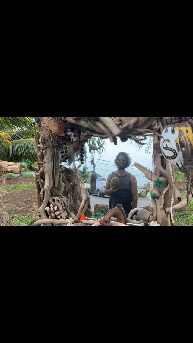 Hookipa in my heart
I used to say
it’s always Hawaii on the inside.
Since I was fourteen,
I dreamed of surfing Hookipa
Now, turning thirty-two,
that dream became my gift to myself.
For living. For giving. For not giving-up on beauty.
At night, I watched the stars
During day I was shattered by the reef,
torn by the wind,
held by the earth.
And I realized
Being in paradise on the outside was beautiful.
But the real beauty was knowing
it had always been alive inside me.
If you know, you know.
Photos weren’t my focus this time. Presence was.
These are a few moments in time that remain.
Many thanks to all you amazing people who made this trip what it was
@kanahakai @kellyonmaui @zachbucolo @lovisalagercrantz @liltraveltoes
#lovelikenature #maui #vingfoil