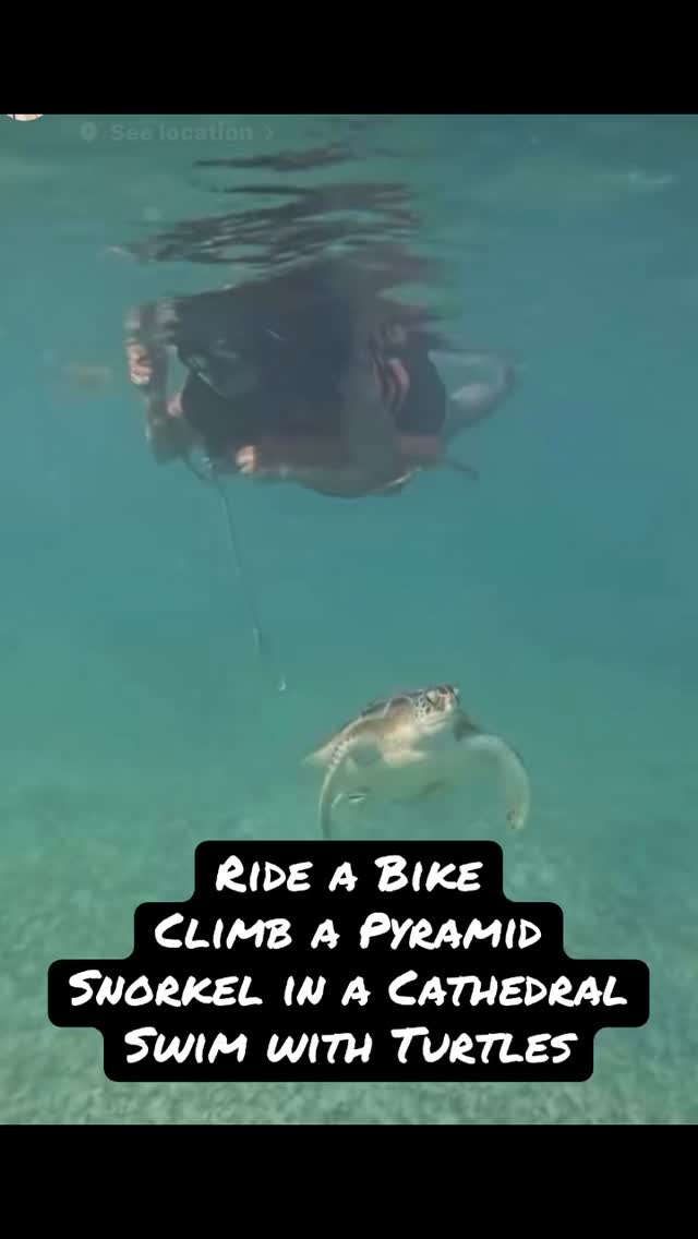 One of the more intense days with Señor Travel Bug, even by his standards. The day started with a nature drive, to get to Coba where cycled through the jungle among Mayan buildings, climbed a pyramid. It continued at Cenote Nohoch Nah Chich (big birds’ nest) where we snorkelled through an underground cave system that feels more like a cathedral above and below the water. After lunch at Akumal on the beach we swam with turtles, manta rays and fish over a coral reef. #mexico #pyramid #caribbean #caves #cycling